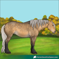 Horse Color:Silver Buckskin Dun 