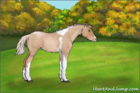 Horse Color:Silver Blue Roan Pearl Tobiano Frame