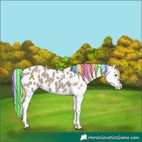 Horse Color:Painted Liver Red Dun Mushroom Tobiano Appaloosa 