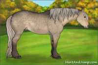 Horse Color:Silver Smoky Grullo 