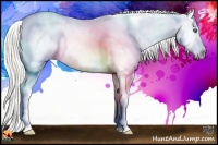 Horse Color:Silver Black Splash Varnish Rabicano 