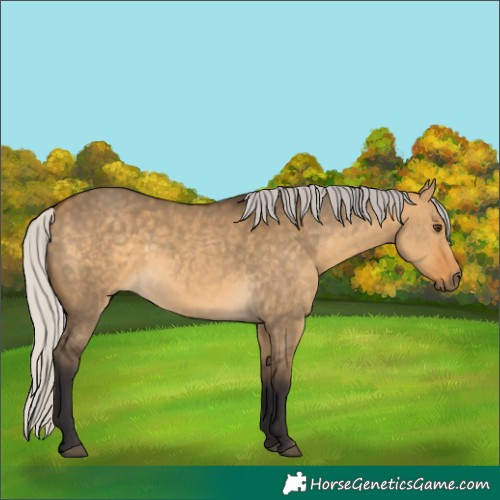Horse Color:Silver Buckskin Dun 