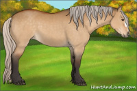 Horse Color:Silver Buckskin Dun 