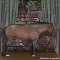Horse Color:Liver Red Roan 