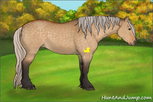 Horse Color:Silver Buckskin Dun