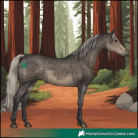 Horse Color:Silver Smoky Grullo 