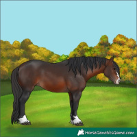 Horse Color:Brown 
