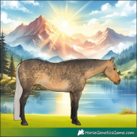 Horse Color:Silver Buckskin Dun 