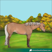 Horse Color:Silver Bay Dun 
