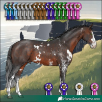 Horse Color:White Spotted Brown Snowcap 