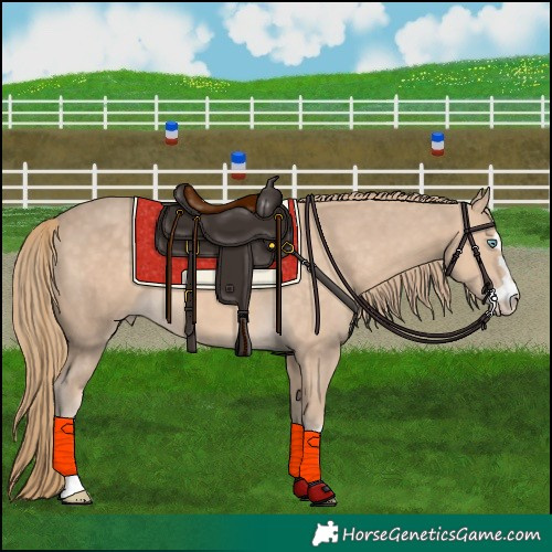 Horse Color:Perlino 