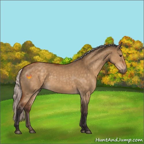 Horse Color:Silver Buckskin Dun 