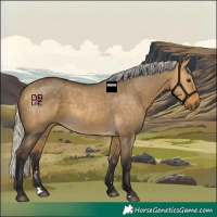 Horse Color:Silver Buckskin Dun 