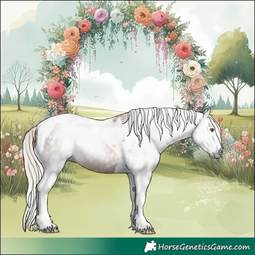 Horse Color:Gray Silver Black Pearl Tobiano