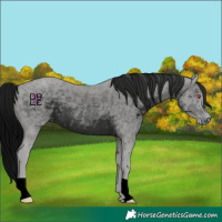 Horse Color:ERROR: UNKNOWN ANOMALY