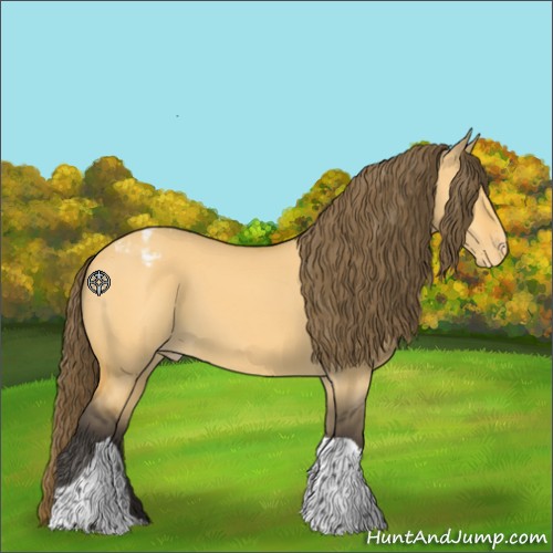 Horse Color:Buckskin Dun Tobiano Appaloosa 