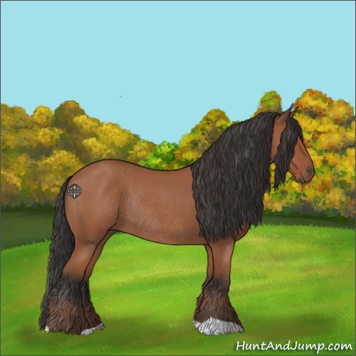 Horse Color:Bay Roan Rabicano 