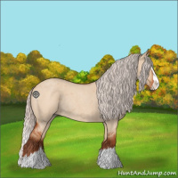 Horse Color:Silver Bay Roan Dun Splash Rabicano 