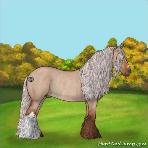 Horse Color:Silver Bay Roan Dun Rabicano 