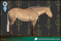 Horse Color:Chocolate Silver Buckskin Dun 