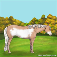 Horse Color:Silver Amber Champagne Frame 