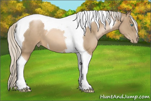 Horse Color:Chocolate Palomino Pearl Tobiano 