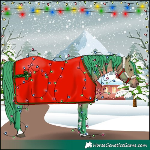 Horse Color:Watercolor Bay 