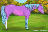 Horse Color:Watercolor Bay 