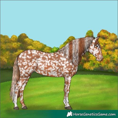 Horse Color:Chestnut Tobiano Snowflake Varnish