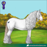 Horse Color:Red Dun Tobiano Snowflake Varnish