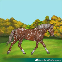 Horse Color:Chestnut Tobiano Snowflake Varnish