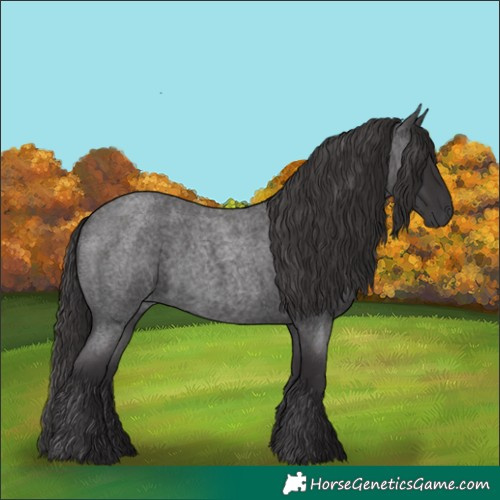 Horse Color:Smoky Blue Roan 
