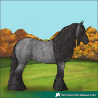 Horse Color:Smoky Blue Roan 