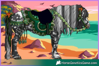 Horse Color:Black Tobiano Appaloosa