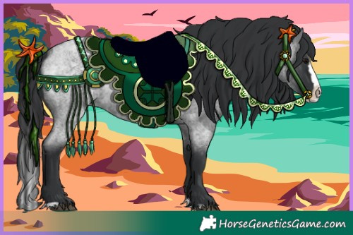 Horse Color:Blue Roan Splash 