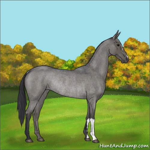 Horse Color:Grullo Roan Mushroom Rabicano Brindle