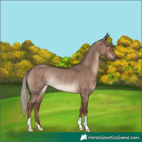 Horse Color:Liver Red Dun Mushroom Rabicano Brindle 