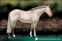 Horse Color:Silver Brown Roan Dun Tobiano 