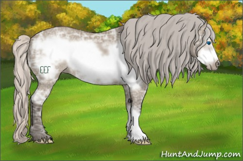 Horse Color:Silver Grullo Ice Frame 