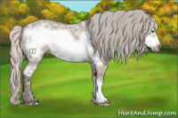 Horse Color:Silver Grullo Ice Frame 