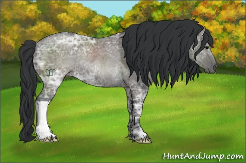 Horse Color:Grullo Ice Rabicano 