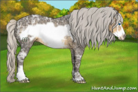 Horse Color:Silver Smoky Black Ice Frame Rabicano 