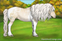 Horse Color:Silver Smoky Black Ice Pearl Tobiano Rabicano