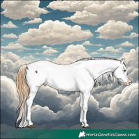 Horse Color:Chestnut Tobiano Appaloosa 