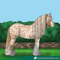 Horse Color:Chestnut Tobiano Snowflake Varnish