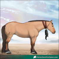 Horse Color:Bay Dun