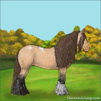 Horse Color:Bay Dun Tobiano Snowflake Varnish