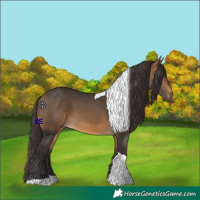 Horse Color:Buckskin Tobiano 
