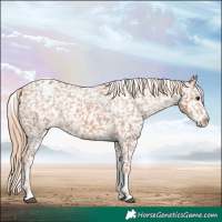 Horse Color:Chestnut Tobiano Snowcap 