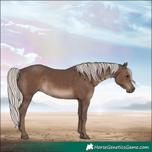 Horse Color:Silver Black 